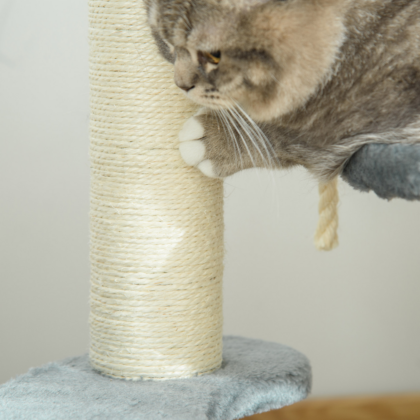 PawHut Cat Tree for Indoor Cats Kitty Scratcher Kitten Activity Centre & Scratching Post