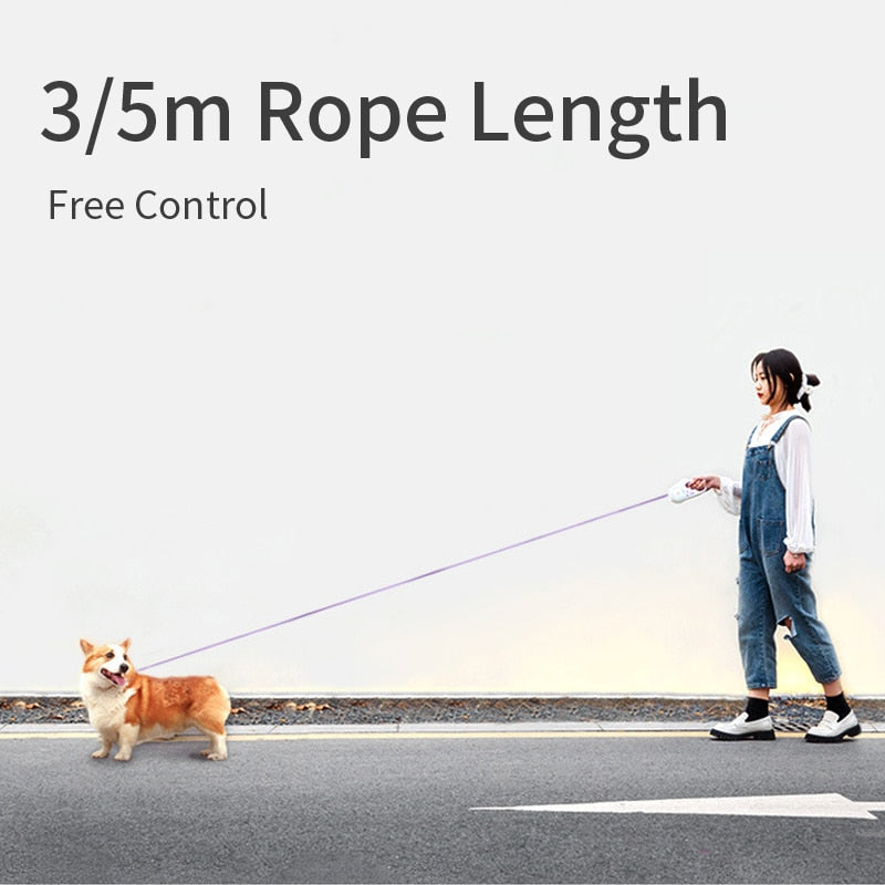Automatic Retractable Lighting Dog Leash with RGB Ring – Safe & Stylish Night Walks for Pets