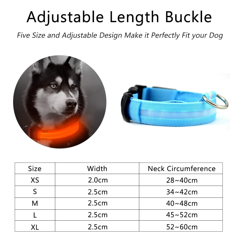 Nylon LED Dog Collar (2 Pcs Set) – Safety Flashing Collar for Night Visibility