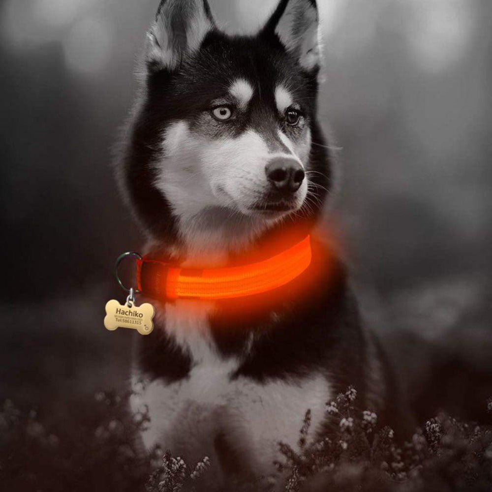 Nylon LED Dog Collar (2 Pcs Set) – Safety Flashing Collar for Night Visibility