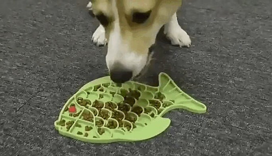 Why Your Dog Needs a Silicone Lick Mat: The Ultimate Slow Feeder & Treat Dispenser