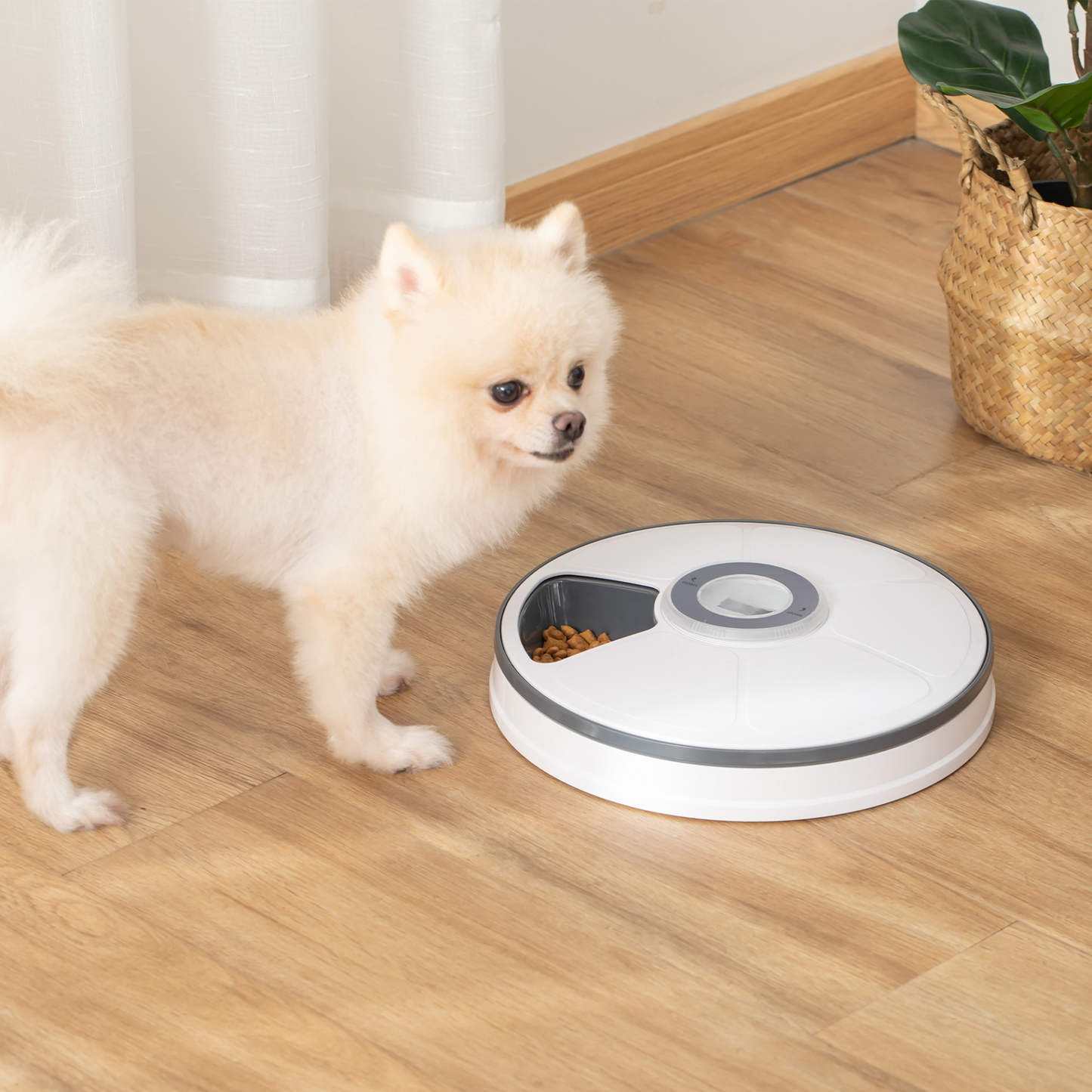 PawHut Automatic Pet Dog Cat Feeder Meal Food Dispenser
