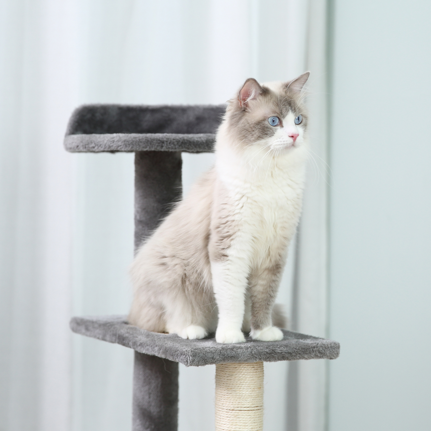 PawHut Cat Tree for Indoor Cats Kitten Scratch Scratching Centre