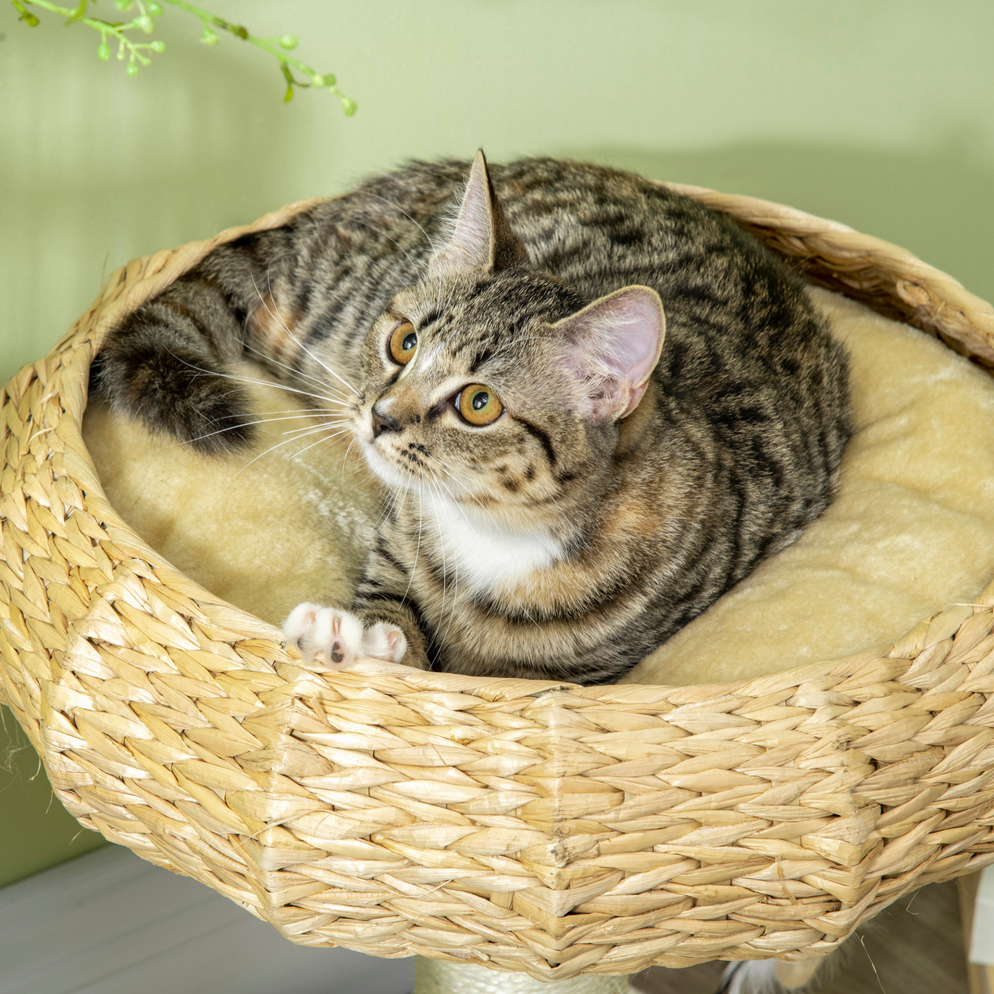 PawHut Cat Tree Kitty Activity Centre, Cat Climbing Toy, Cat Tower With Toy Ball, Scratching Post