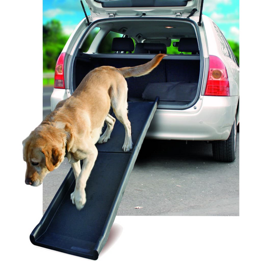 Dog Car Ramp Gentle Step