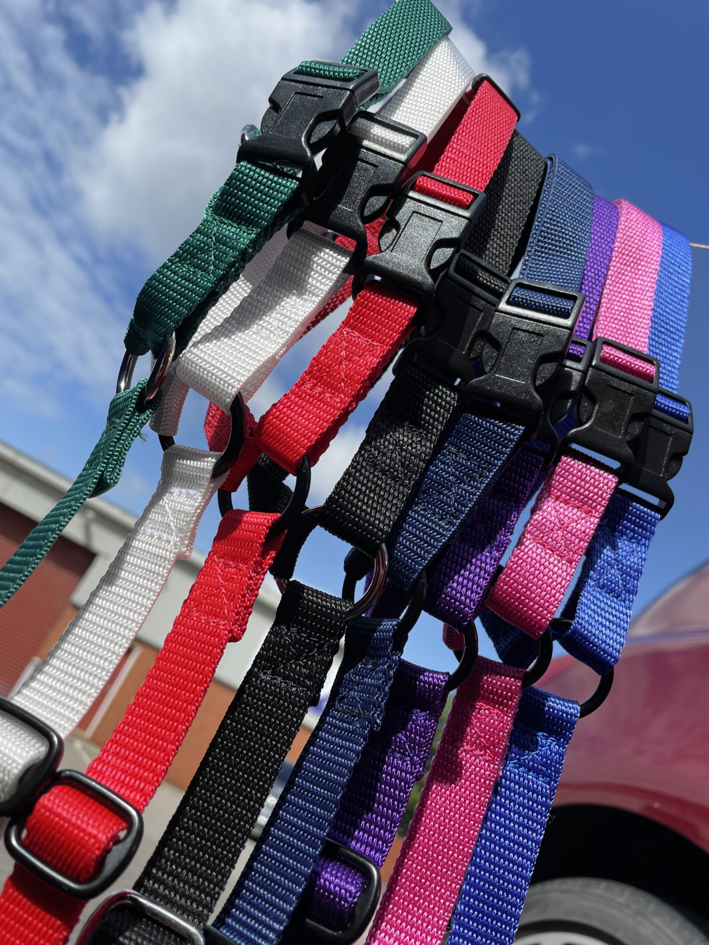 Pet Adjustable Car Seat Belt