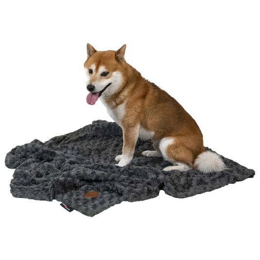 Pet Blanket