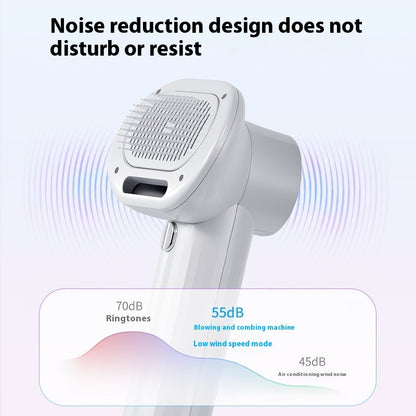 2-in-1 Pet Hair Dryer with Comb & LED Display – Grooming Tool for Dogs & Cats
