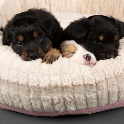 Ellen Donut Dog Bed (in Tan, Pink or Grey) by Scruffs-11