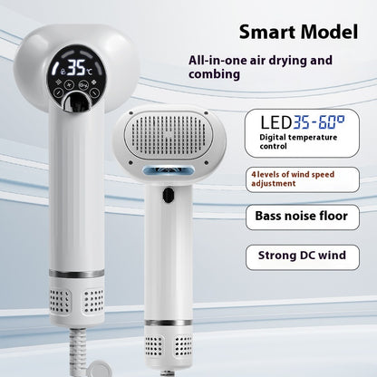 2-in-1 Pet Hair Dryer with Comb & LED Display – Grooming Tool for Dogs & Cats