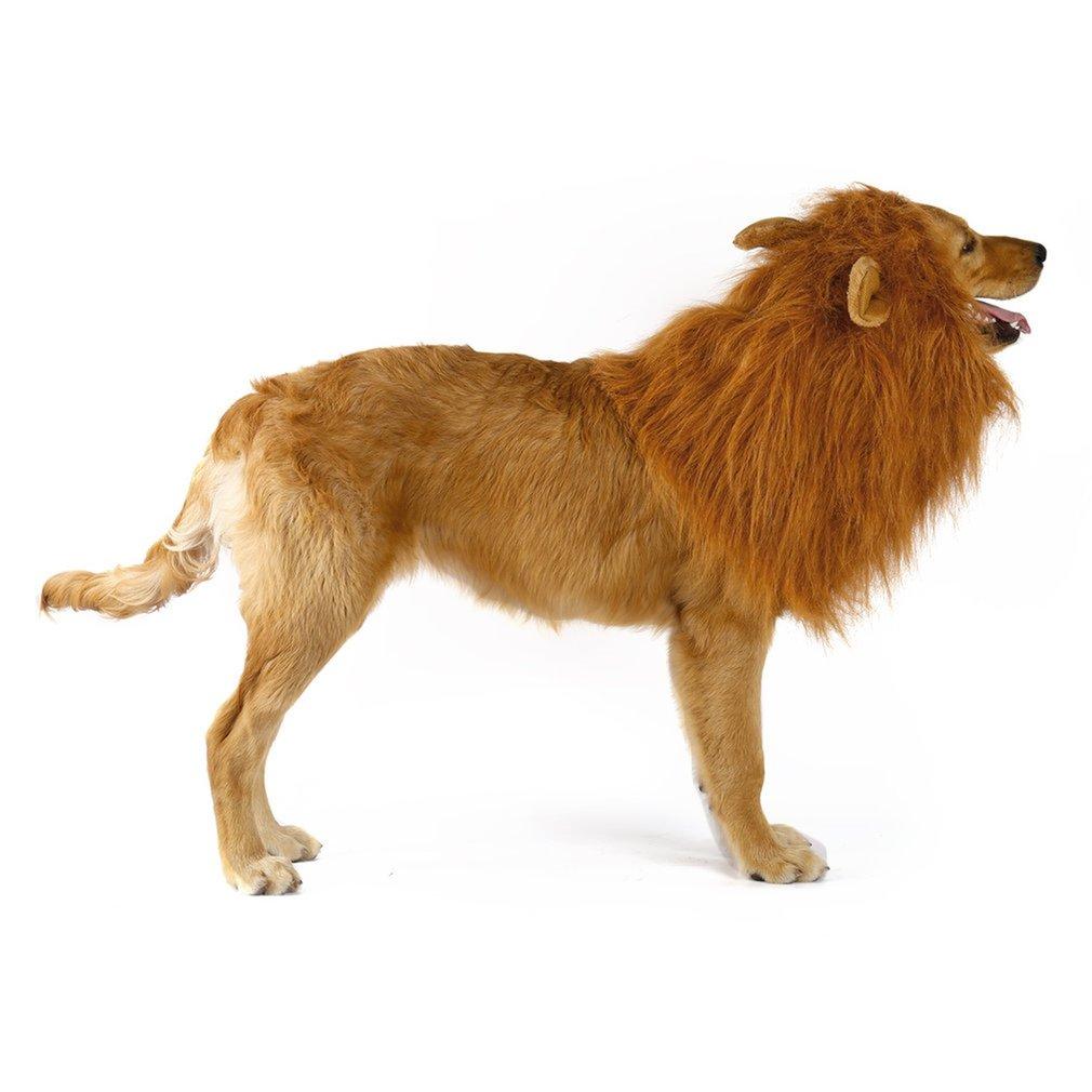 Lion Mane Dog Wig with Ears – Perfect Costume for Halloween & Parties