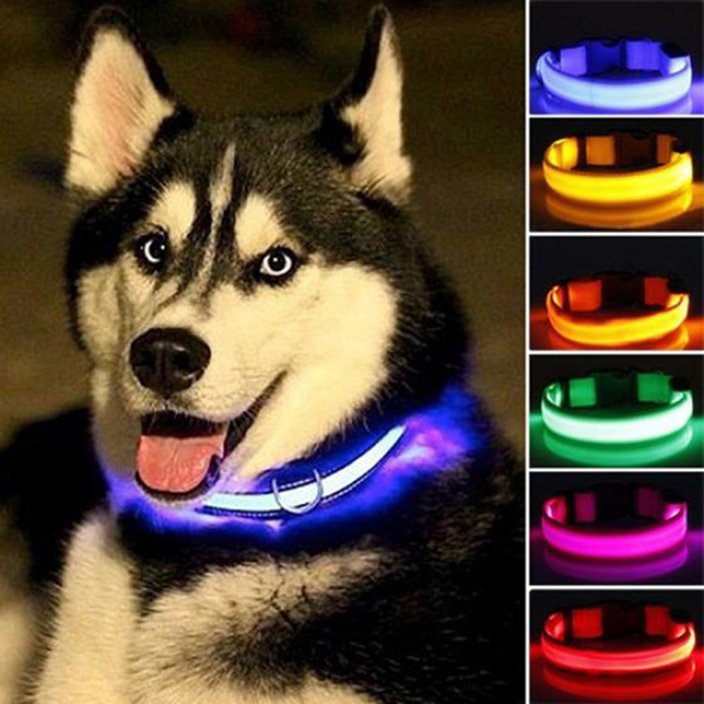 Nylon LED Dog Collar (2 Pcs Set) – Safety Flashing Collar for Night Visibility