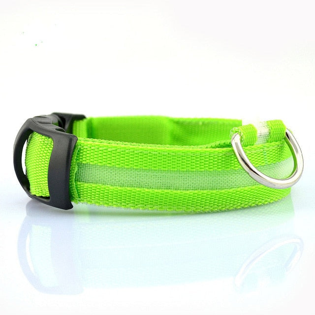 Nylon LED Dog Collar (2 Pcs Set) – Safety Flashing Collar for Night Visibility