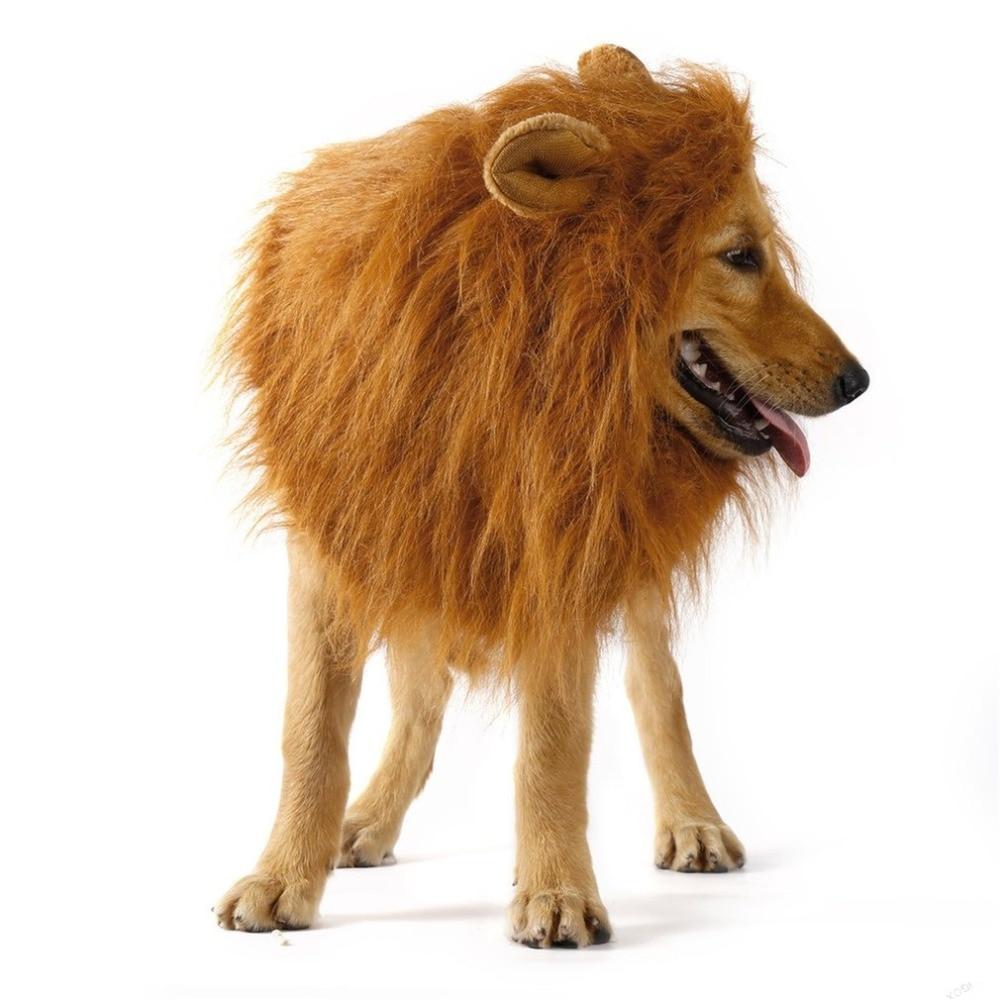 Lion Mane Dog Wig with Ears – Perfect Costume for Halloween & Parties